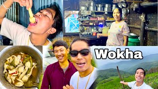 Wokha Nagaland Pe bro Zaren ko Milna Aiya || ￼local wild Mushrooms 🍄 raat Ka dinner Pe || Day 1 