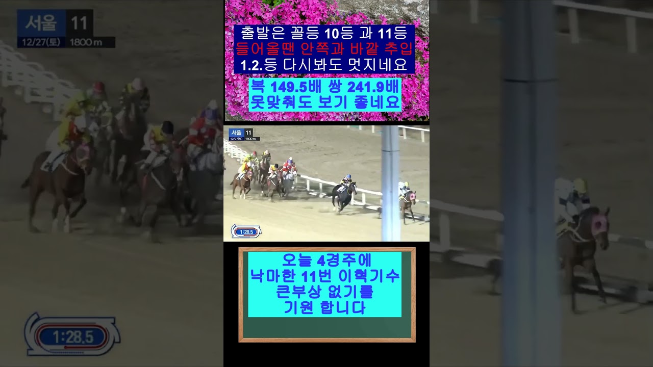 출발은 꼴등 10등 과 11등인데 들어올때 멋진추입 1.2.등 이네요
