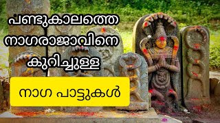 Illakk Illaak നഗ പടടകൾ സർപപ. . നടൻ പടടകൾ