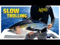 Trolling Fishing For Beginners