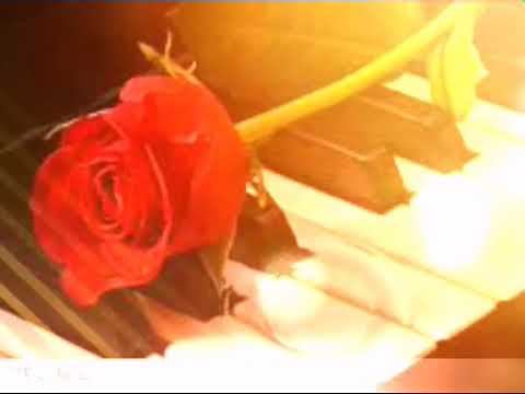 سارية السواس قلب قلب قلبي