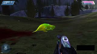 Cursed Halo Rat