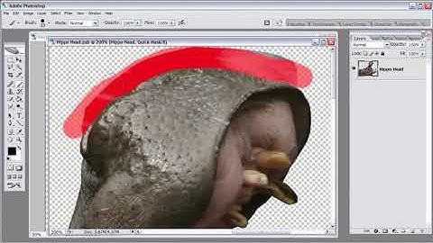 Morphing Creatures using photoshop Part 5