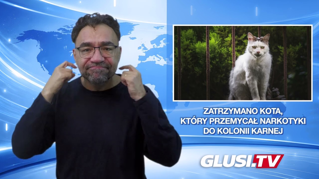 Zatrzymano kota, który przemycał narkotyki do kolonii karnej