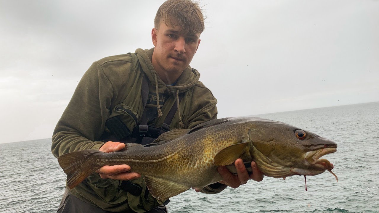 Personal best Cod on lure Bait and lure fishing for Cod, Pollock and