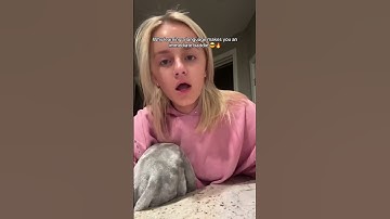 With AirLearn it’s easy #learninglanguages #airlearnambassador #tipsforlearninglanguages