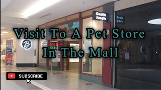 Visit To A Pet Store In The Mall