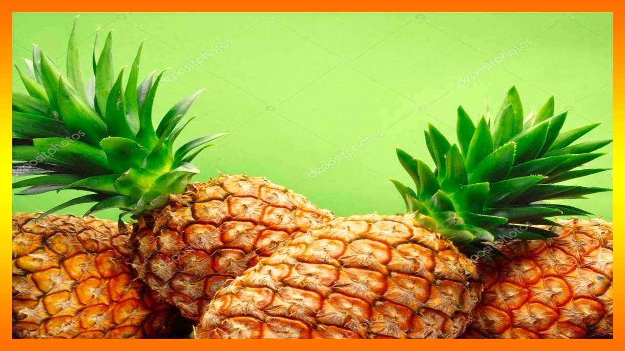 SOÑAR CON PIÑA MADURA | SOÑAR CON PIÑA PODRIDA, PIÑA FRUTA, PIÑA GRANDE ...