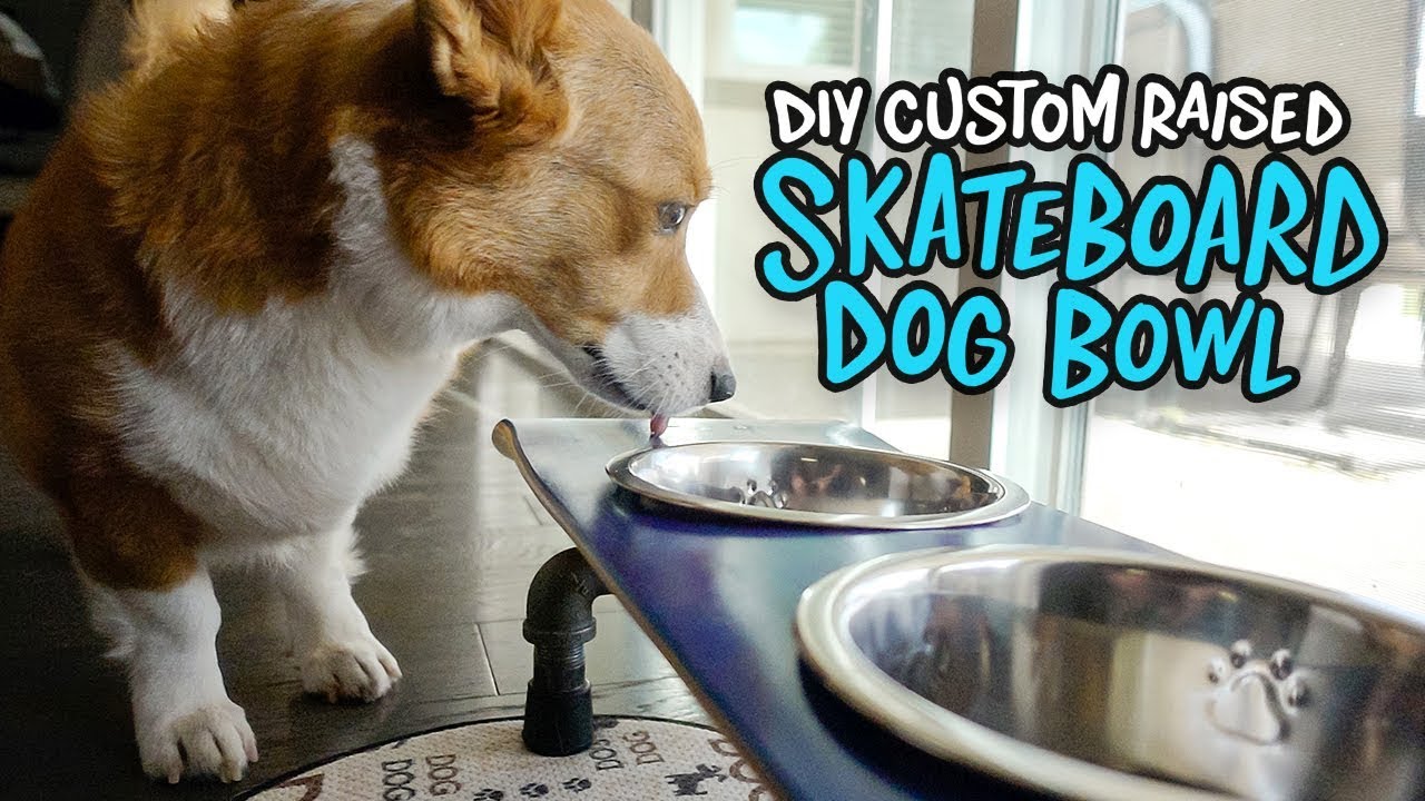 DIY Dog Bowl Stand 🐾 