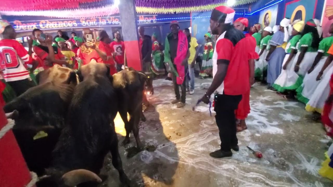 La belle Ste Marthe  - seremoni bèf kay Hougan Selavi 