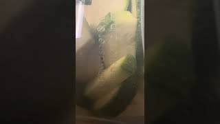 Featured post 7