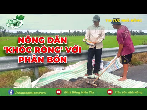 Video: Cách Cho Tiêu Sau Khi Trồng? Bón Thúc Sau Khi Trồng Xuống đất Và Nhà Kính. Làm Thế Nào để Tưới Nước Bằng Các Biện Pháp Dân Gian, Urê Và Các Loại Phân Bón Khác?