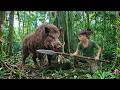 Best Survival Fishing & Wild Boar Hunting Videos | Catching Fish in Streams