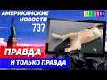 CSBSVNNQ Американские новости - выпуск #737 от 18.05.2022