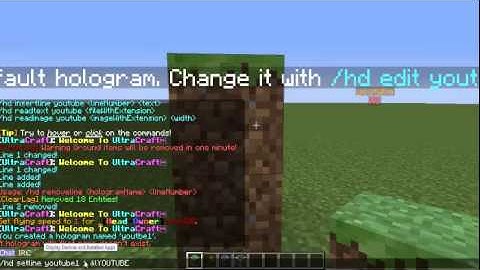 HolographicDisplays-Plugin Review (minecraft)