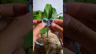 Famous Small Knot Big Power Net Worth