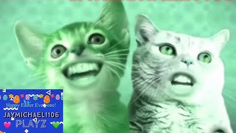 Preview 2 Numa Cat Extended Effects | With 6 Effects