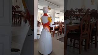 Wow robot 🤖 #robot #restaurant #unique #service