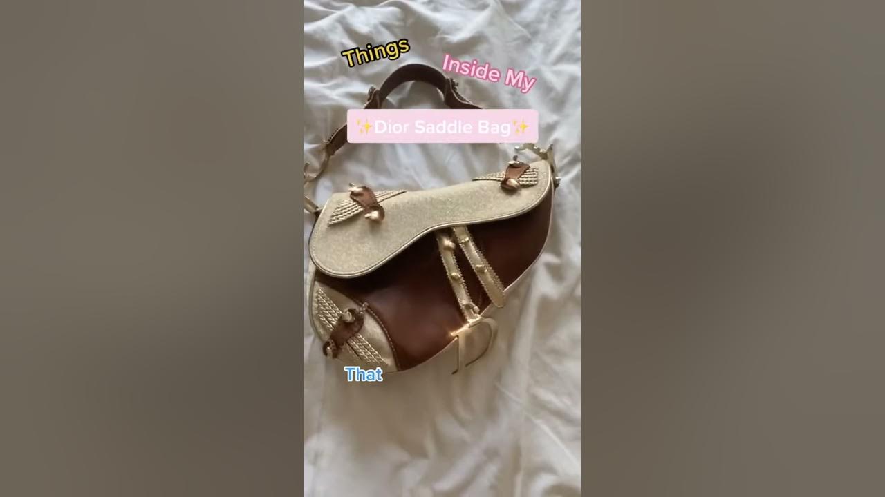 inside dior saddle bag｜TikTok Search