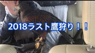 5回目の鷹狩りだよ! 5回目の鷹狩りだよ!