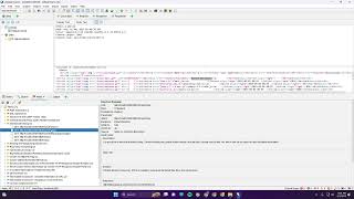 Software Security Assignment