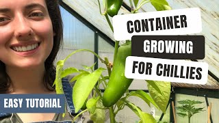 How To Grow Chillies In Containers - 1 Minute Guide