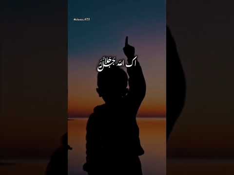 Allah Allah, tera b ilah wo mera b ilah ❤#islamic #beautifulislam #islamicstatus #youtubeshorts