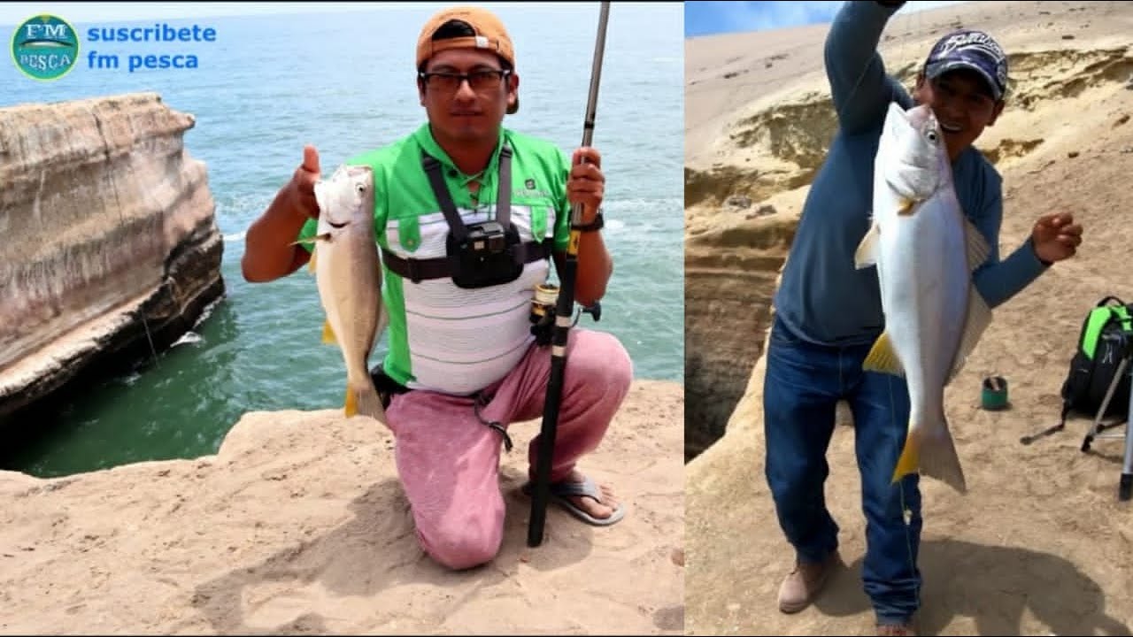 Pesca de corvina con carnada pulga de mar (muymuy)./Sea bass fishing