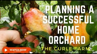 **PLANNING A SUCCESSFUL HOME ORCHARD - NZ lifestyle block**