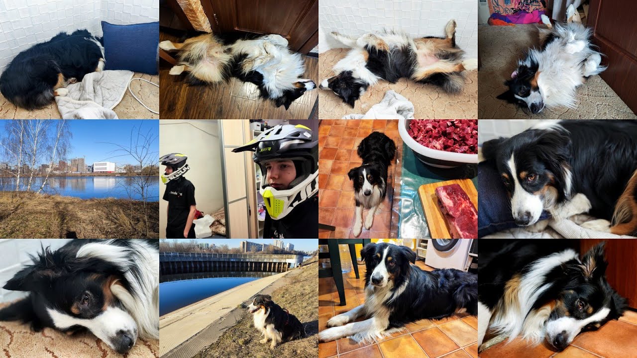 Март 2025: медитация, Маск, мясо, распаковка, Just1, весна-зима-весна, бега, паровоз