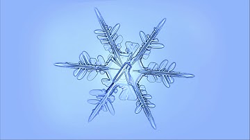Timelapse Shows Frost Through a Microscope