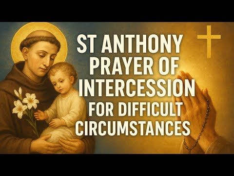 🙏5 Reasons Saint Anthony of Padua Is a Miraculous Intercessor | Pray for His Intercession Today