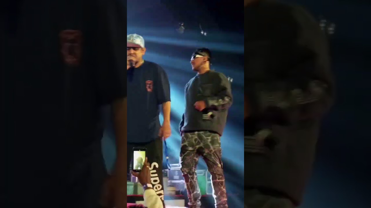 Dj BrahmiN  x Minimi Live | Golden langur festival