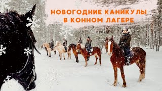 Зимние каникулы в конном лагере «КАЗАЧОК»