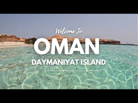 Discover Daymaniyat Island Oman The Best Snorkeling Turtle Adventure 