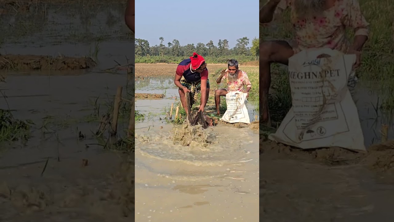 Everyone new today Fishing video,