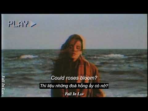 Six Feet Under - Billie Eilish (Lyrics & Vietsub)