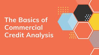 The Basics of Commercial Credit Analysis