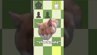 That's Checkmate, Right? Right?