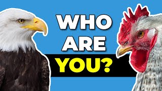 The Eagle And The Chicken - Who Are You? | Most Inspiring Story