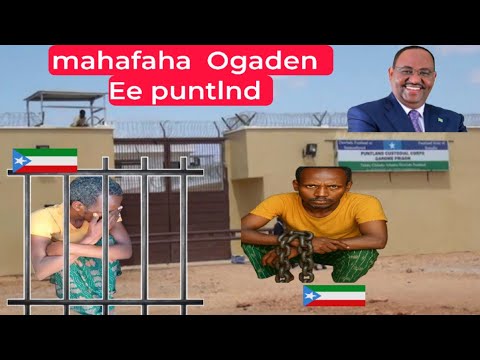 Majerteen Oo Isku Badalay Magafaha Ogadenka Xidha Kufsi Xadhig Dil Ayaa Kasocda Puntlnd 