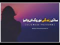 Sadi Zindagi nu rog laane wale Slowed Reverb