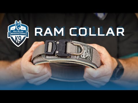leather-and-nylon-agitation-dog-collar-review---ram-collar