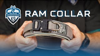 Leather and Nylon Agitation Dog Collar Review  RAM Collar