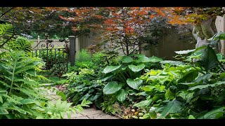 Full Shade Garden ideas