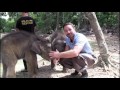 Destination Conservation - Pygmy Elephant Sizzle Reel