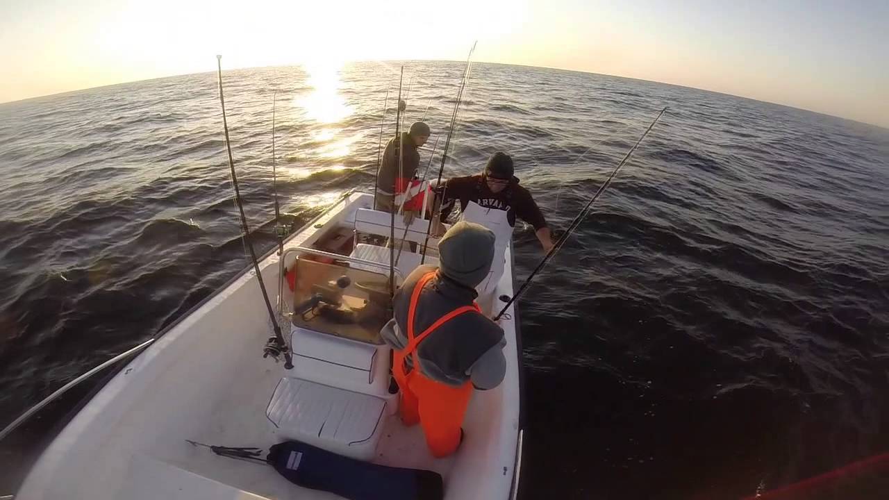 Offshore Fishing YouTube