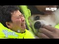 사람이 죽으면 먼저 가있던 반려동물이 마중나온다는 이야기가 있다 l Wish I Could Live Just One Day More Than My Dog