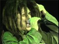 WEIRD AL I'll Sue Ya 2007 LiVe