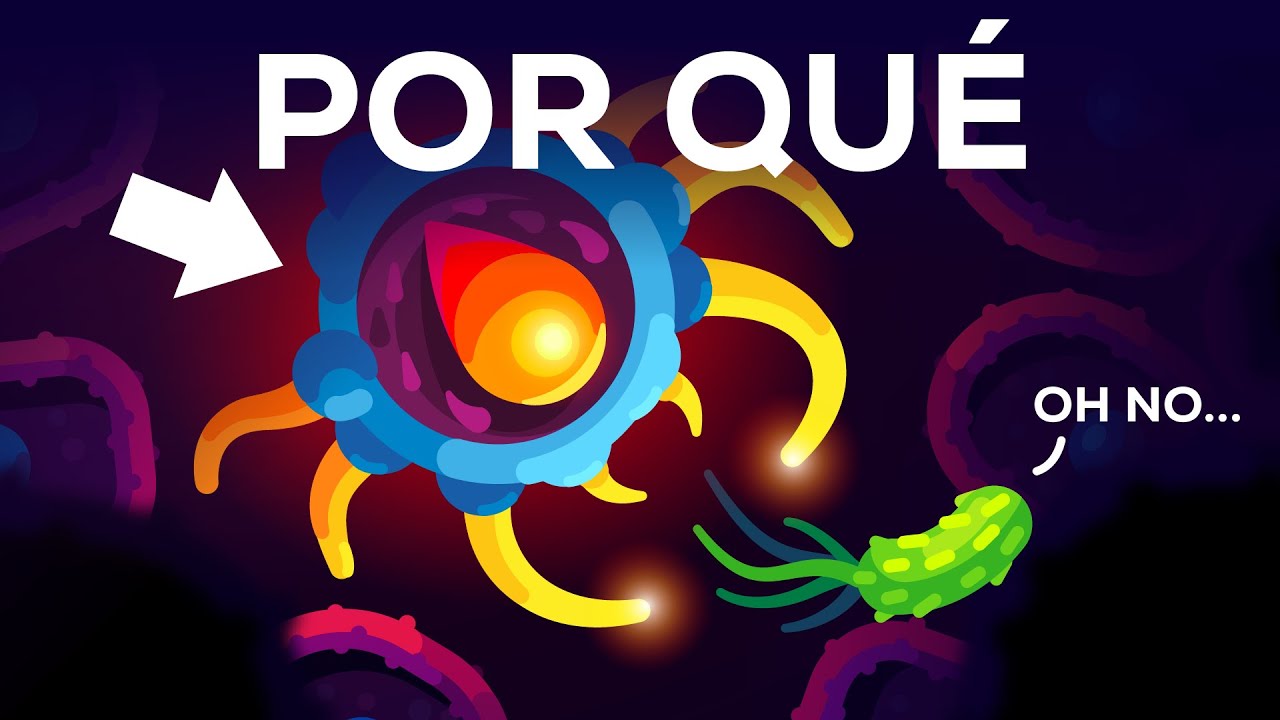 Somos inmunes a todas las enfermedades